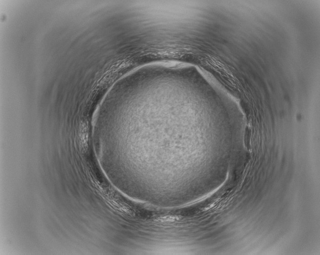 X0000059100593200510211634