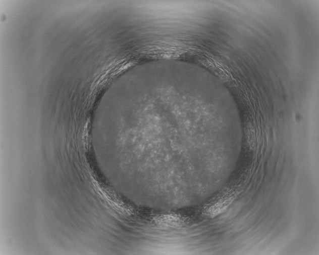 X0000059100594200510211634