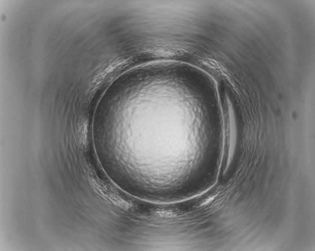 X0000059100596200510211634