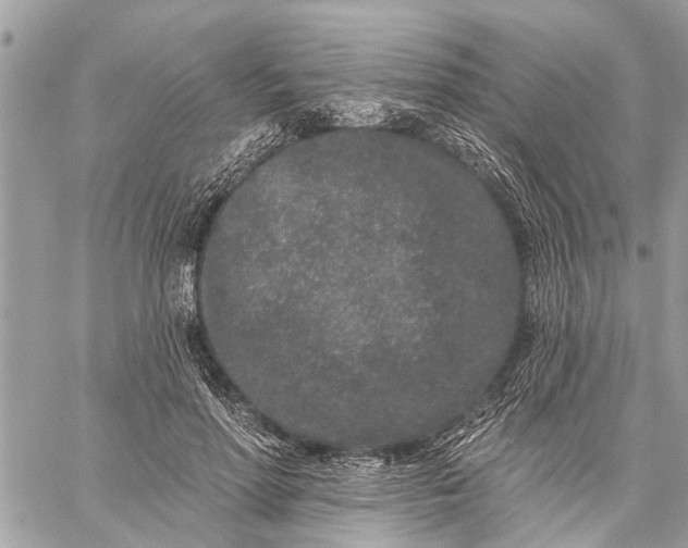 X0000059100598200510211634