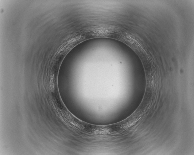 X0000059100599200510211634