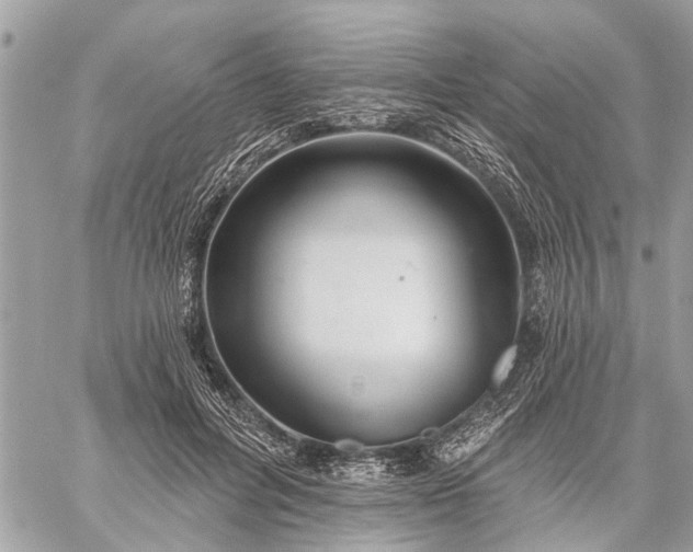 X0000059100600200510211634