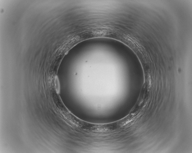 X0000059100601200510211634