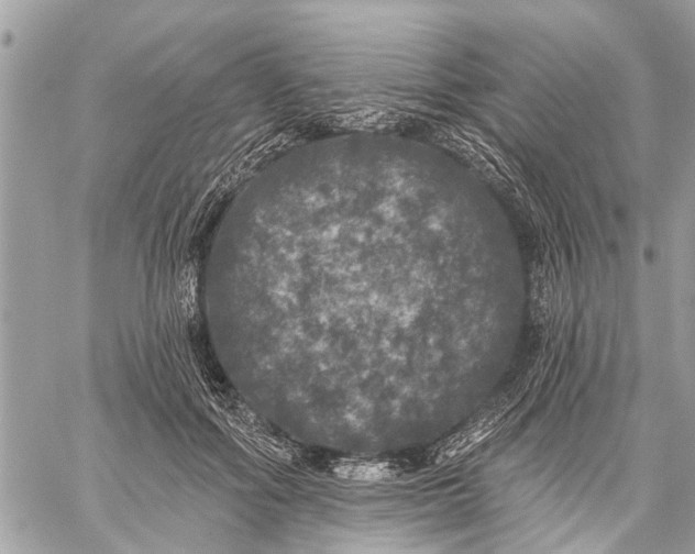 X0000059100602200510211634