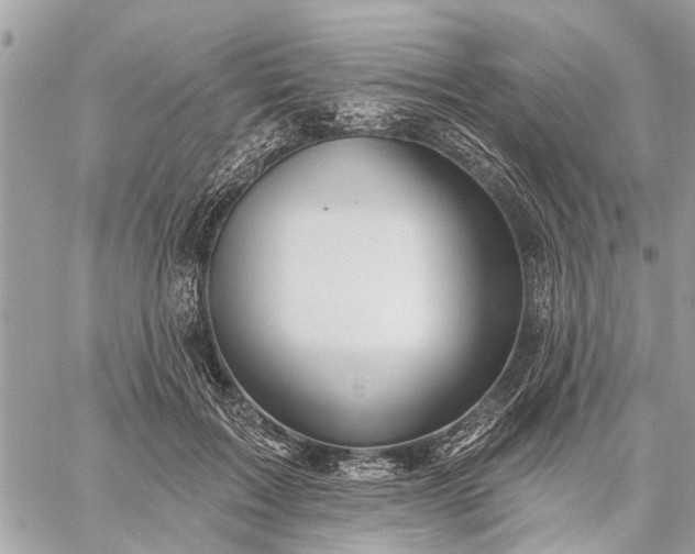 X0000059100603200510211634