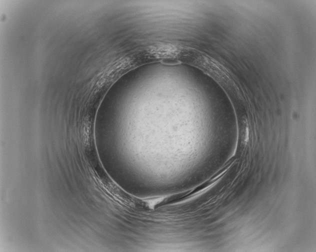 X0000059100604200510211634