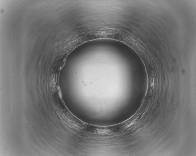 X0000059100605200510211634