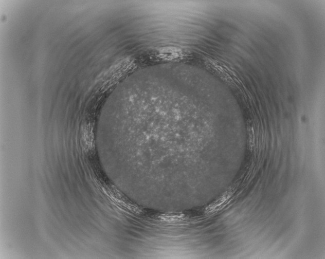 X0000059100606200510211634