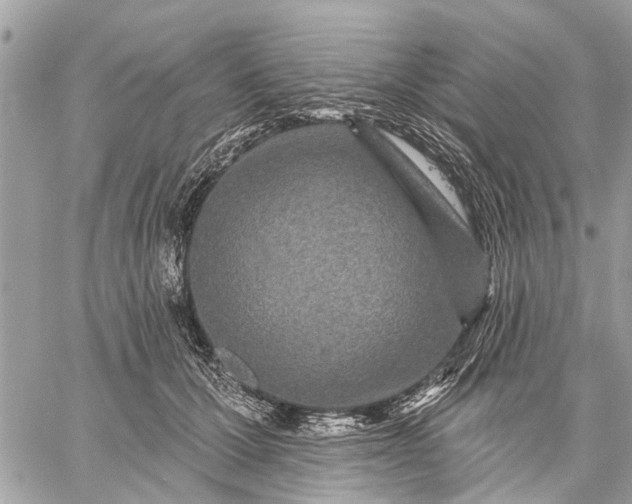 X0000059100607200510211634