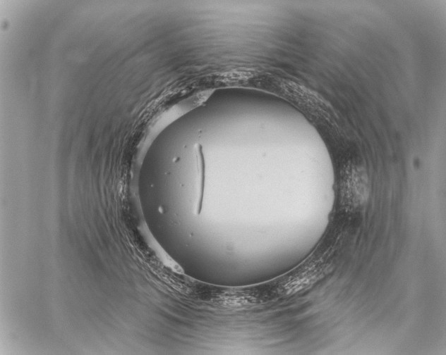 X0000059100608200510211634