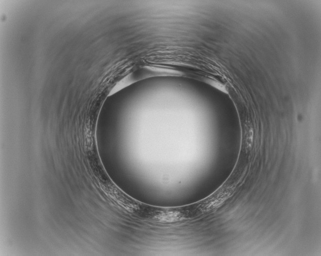 X0000059100609200510211634