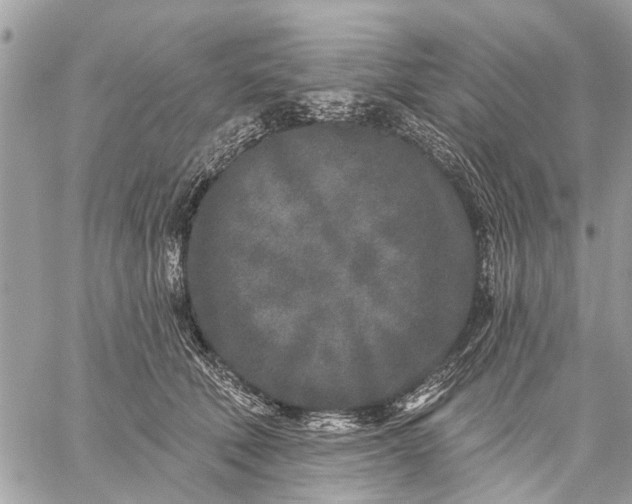 X0000059100610200510211634