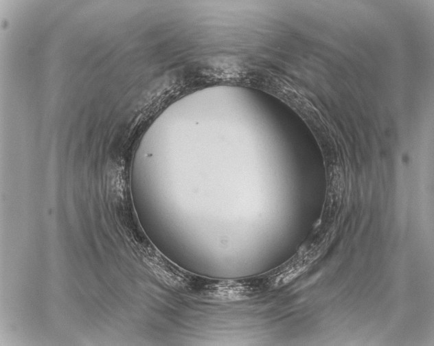 X0000059100612200510211634