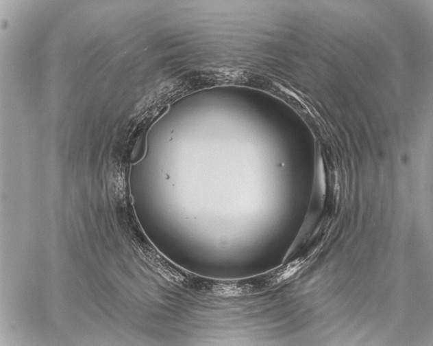 X0000059100613200510211634