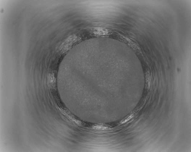 X0000059100614200510211634