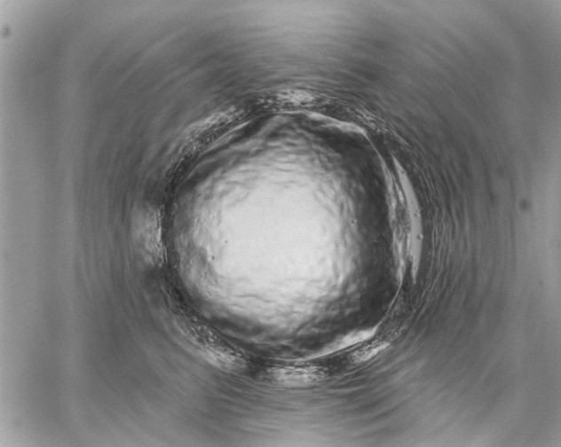 X0000059100615200510211634