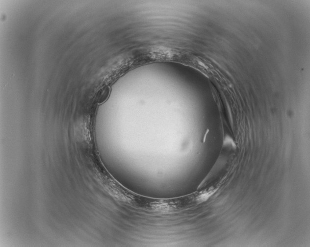 X0000059100616200510211634