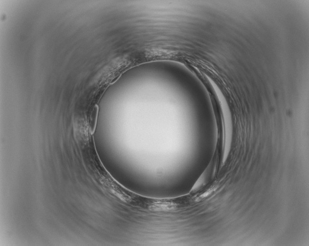 X0000059100617200510211634