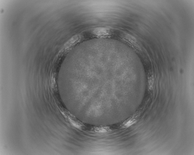 X0000059100618200510211634