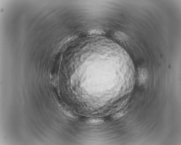 X0000059100619200510211634