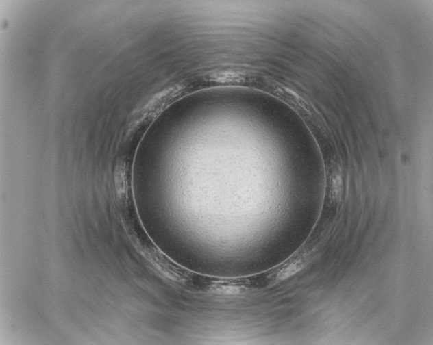 X0000059100620200510211634