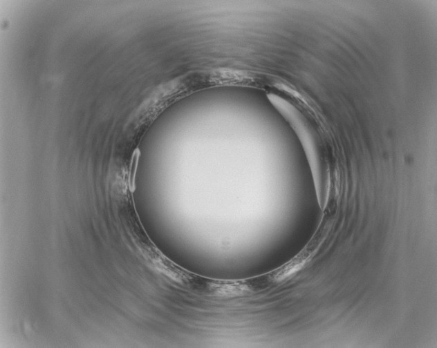 X0000059100621200510211634