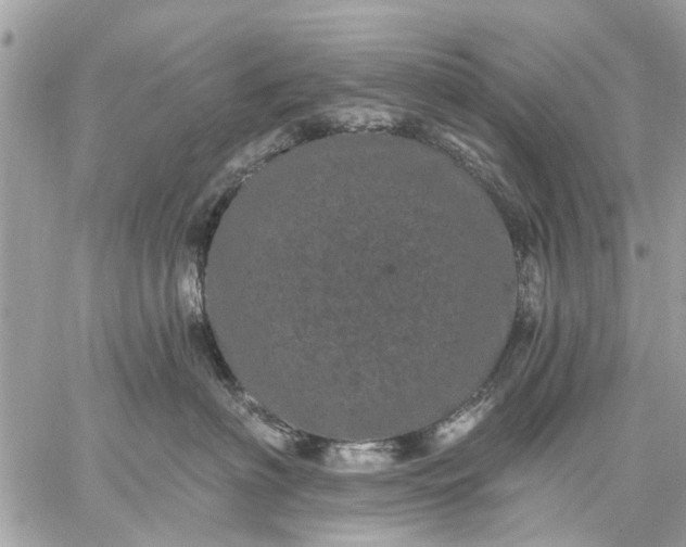 X0000059100622200510211634