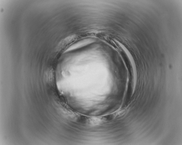 X0000059100623200510211634