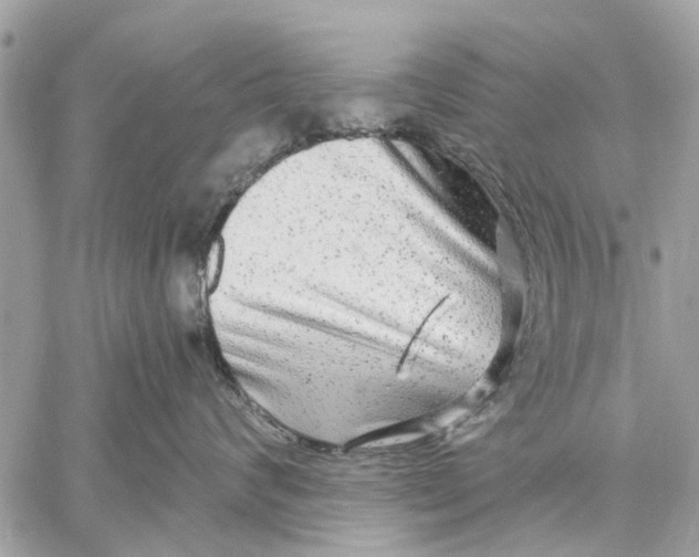 X0000059100624200510211634