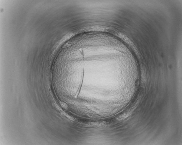 X0000059100625200510211633