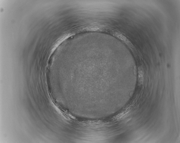 X0000059100626200510211633