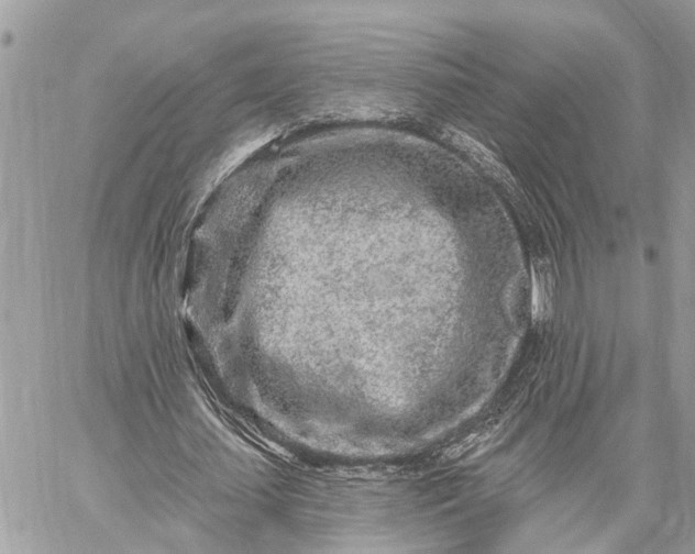 X0000059100627200510211633