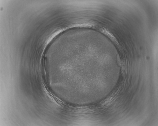 X0000059100628200510211633