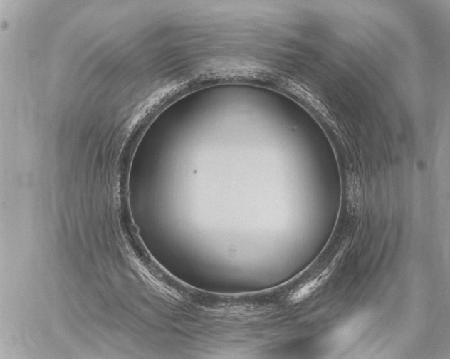 X0000059100629200510211633