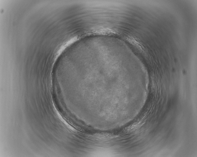 X0000059100630200510211633