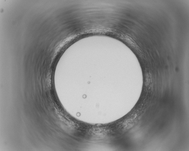 X0000059100632200510211633