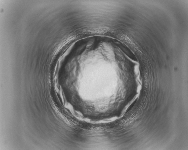 X0000059100634200510211633