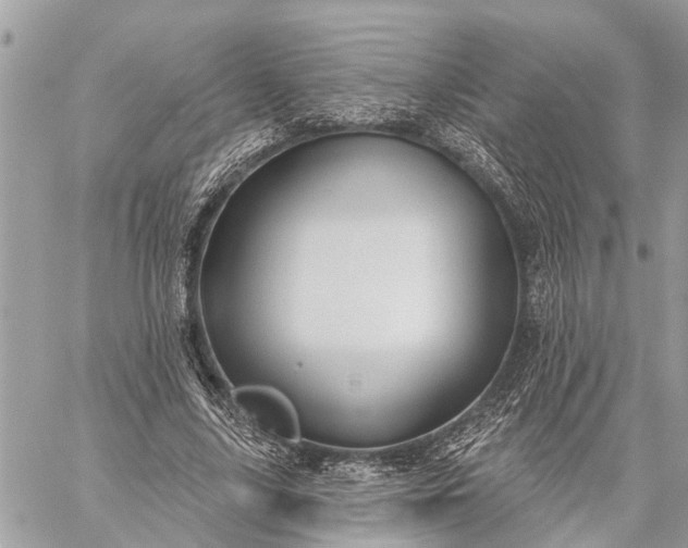 X0000059100635200510211633