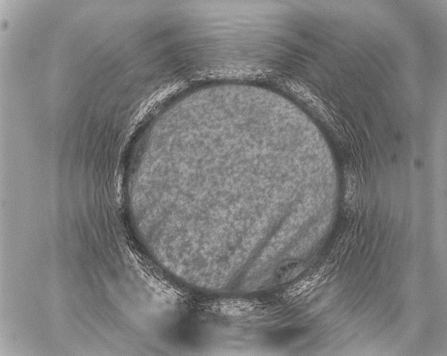 X0000059100636200510211633