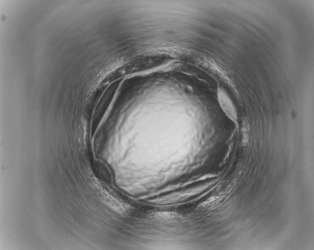 X0000059100637200510211633