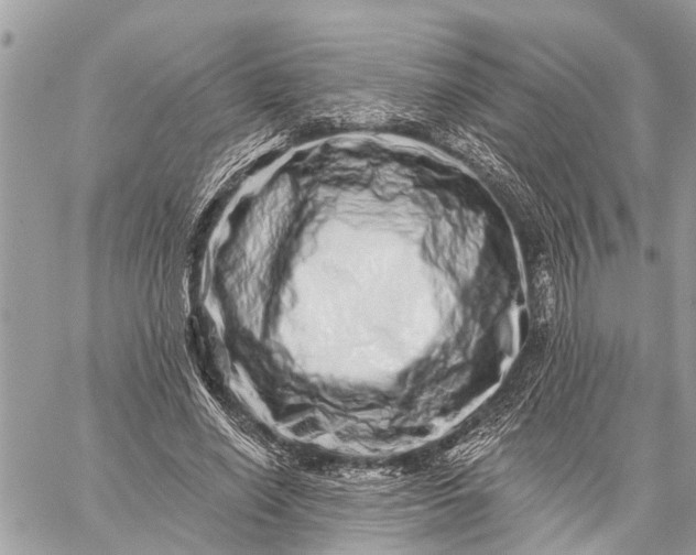 X0000059100638200510211633