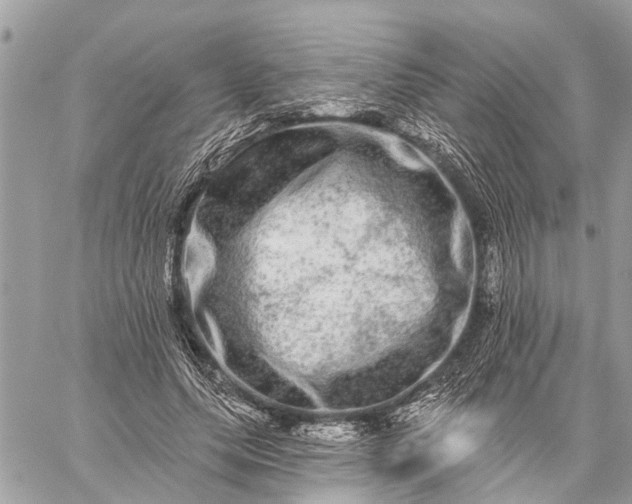 X0000059100639200510211633