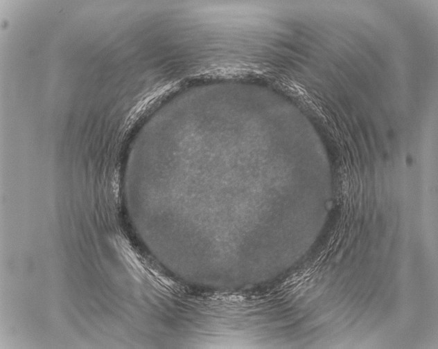 X0000059100640200510211633