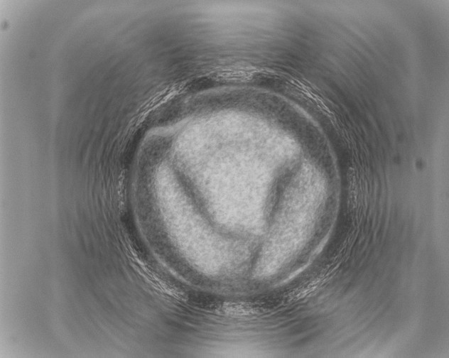 X0000059100641200510211633