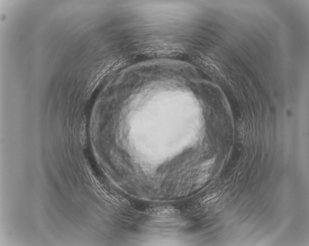 X0000059100642200510211633