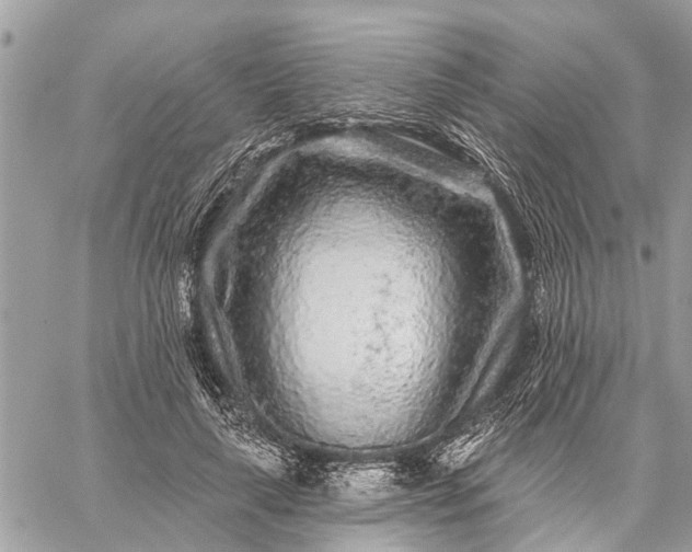 X0000059100643200510211633