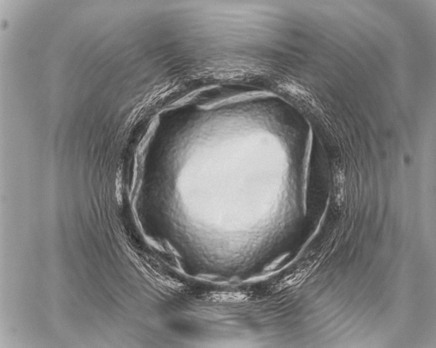 X0000059100644200510211633