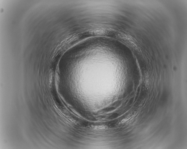 X0000059100645200510211633