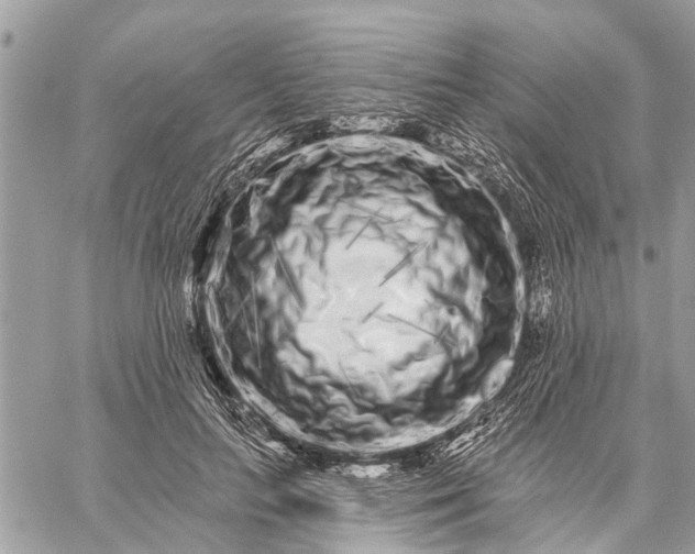 X0000059100647200510211633