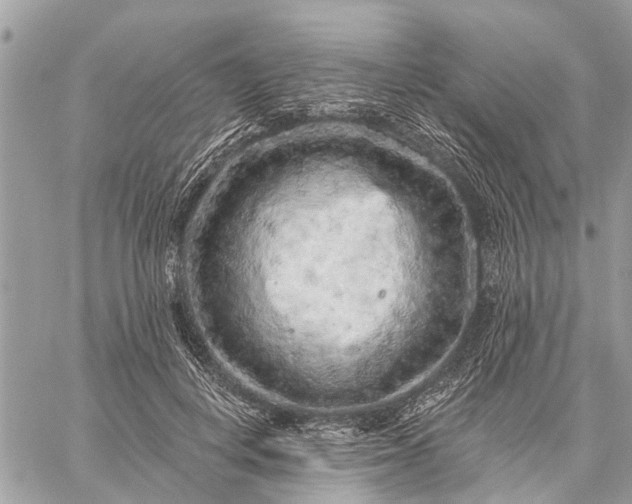 X0000059100648200510211633